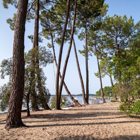  Camping Le Tedey - Camping Gironde - Image N°4