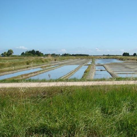 TLC Vacances Noirmoutier - Camping Vendée - Image N°6