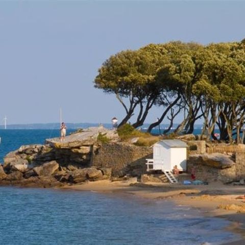 TLC Vacances Noirmoutier - Camping Vendée - Image N°5