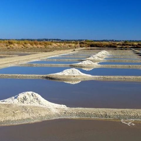 TLC Vacances Noirmoutier - Camping Vendée - Image N°3