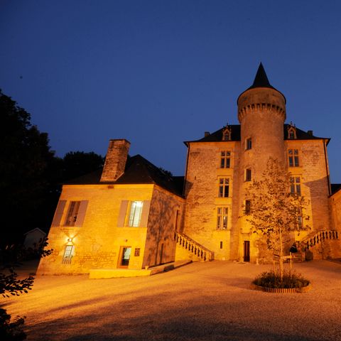 Vacances ULVF Le Domaine de Pelvezy - Camping Dordogne - Image N°5