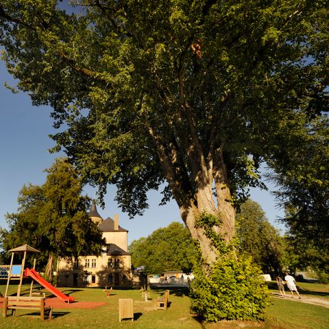 Vacances ULVF Le Domaine de Pelvezy - Camping Dordogne - Image N°6