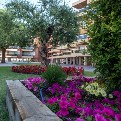 Voralmar-Mas d'en Gran Apartments Cambrils Voralmar-Mas d'en Gran Apartments Cambrils - Camping Tarragone - Image N°4