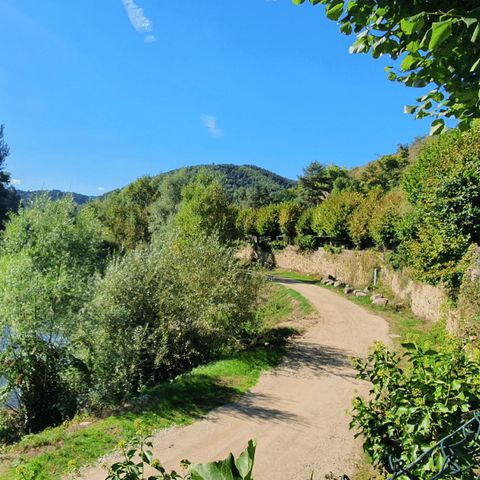 Olydea Vorey-sur-Arzon Olydea Vorey-sur-Arzon - Camping Haute-Loire - Image N°4