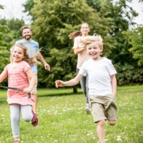 Floreal Holidays Camping Het Veen - Camping Flandre Occidentale - Image N°4