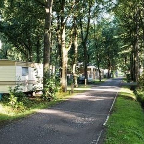 Floreal Holidays Camping Het Veen - Camping Flandre Occidentale - Image N°5