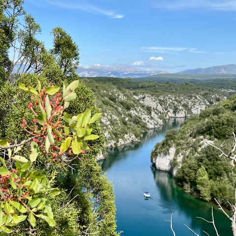 Camping Verdon les Grands Domaines - Camping Alpes-de-Haute-Provence - Image N°6