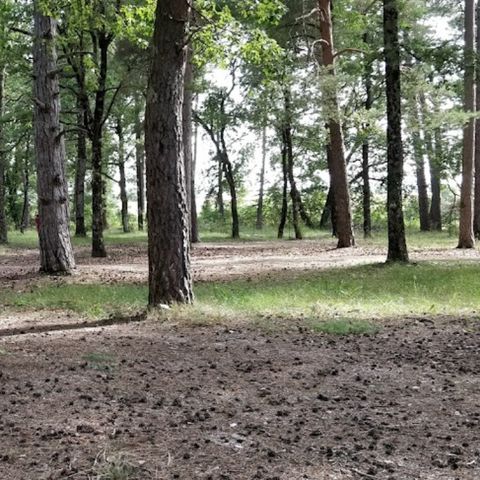 Ushuaïa Villages Provence-Ventoux - Camping Vaucluse - Image N°6