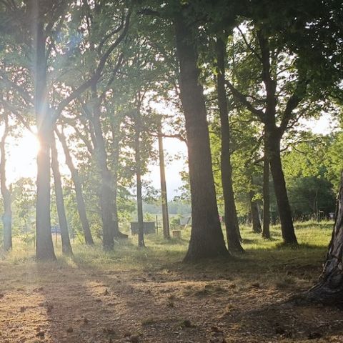 Ushuaïa Villages Provence-Ventoux - Camping Vaucluse - Image N°4