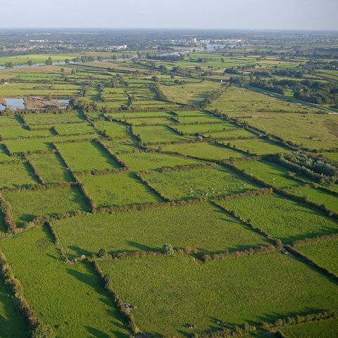 Tour Opérateur sur Vakantiepark de Bergen - Camping Sint Anthonis