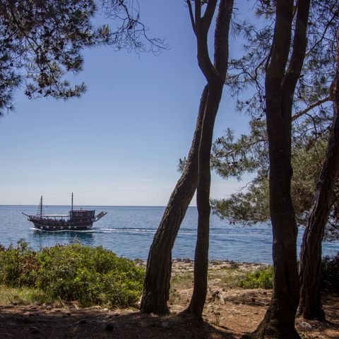 Camping Koversada Park Camping Resort Camping Koversada Park Camping Resort - Camping Istrie - Image N°4