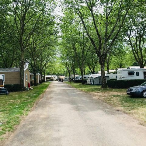 Camping du lac Pouzauges Camping du lac Pouzauges - Camping Vendée - Image N°6