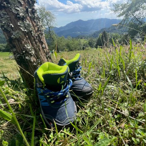 Natur'camp Alsace - Camping Haut-Rhin - Image N°5