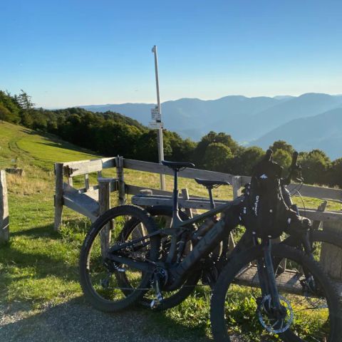 Natur'camp Alsace - Camping Haut-Rhin - Image N°6