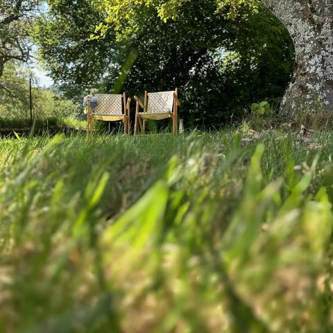 Natur'camp Alsace - Camping Haut-Rhin - Image N°2