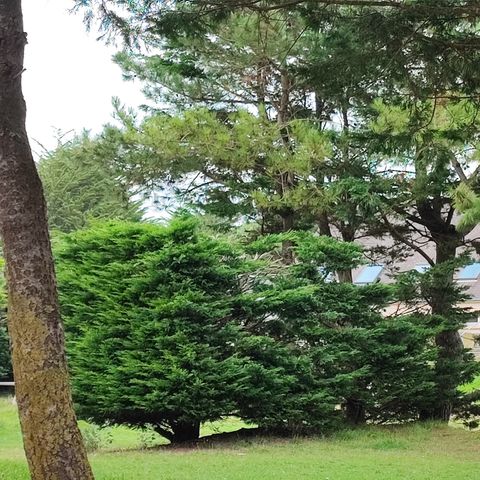 VVF Camping Les Dunes Créances - Camping Manche - Image N°2