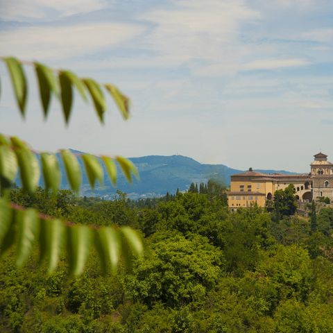 hu Firenze Certosa camping hu Firenze Certosa camping - Camping Florence - Image N°5