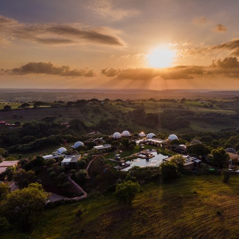 Wecamp Reserva Alecrim - Camping Alentejo - Image N°4