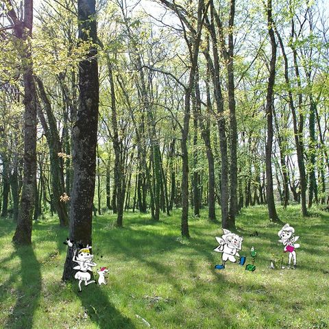 Camping Les Fées du Moulin - Camping Tarn - Image N°5
