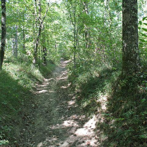 Camping Les Fées du Moulin - Camping Tarn - Image N°2