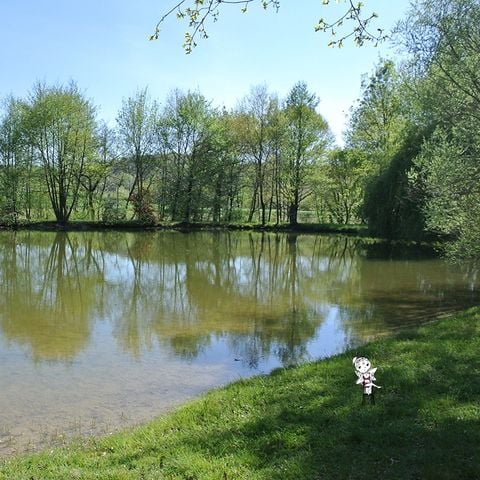 Camping Les Fées du Moulin - Camping Tarn - Image N°6