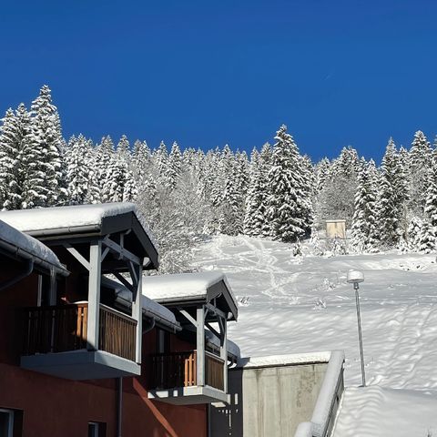 Village Club Cévéo de Bois d'Amont - Camping Jura