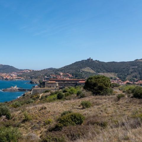 VVF Résidence Port-Leucate - Camping Aude - Image N°5