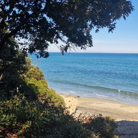 Camping Naturiste Calella - Camping Corse du Nord