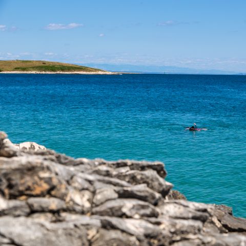 Arena Stupice Camping Homes - Camping Istrie - Image N°2