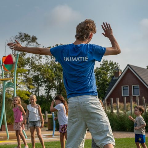 Siblu Camping Duinzicht - Camping Veere - Image N°4
