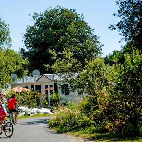 Camping île Blanche - Ile de Ré - Camping Charente-Maritime - Image N°6