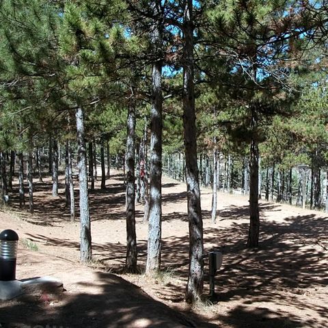 Camping Las Cabanas - Camping Teruel - Image N°5