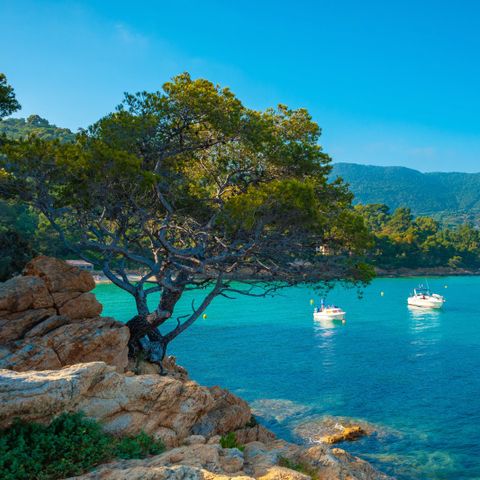 Camping Tikayan Beauséjour - Camping Var - Image N°3