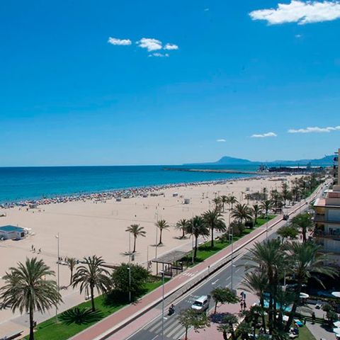 Camping L'Alqueria - Camping Valence - Image N°2