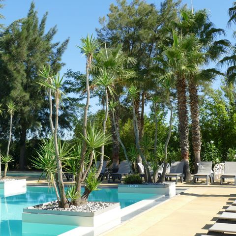 Camping La Pinède Enchantée  - Camping Pyrénées-Orientales - Image N°6