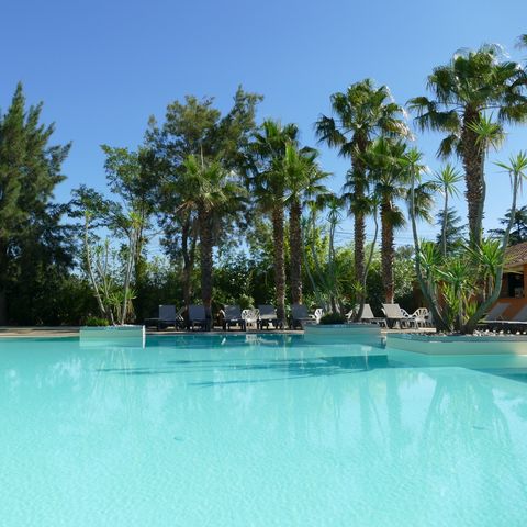 Camping La Pinède Enchantée  - Camping Pyrénées-Orientales - Image N°2