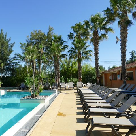 Camping La Pinède Enchantée  - Camping Pyrénées-Orientales - Image N°3