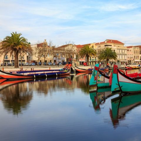 Camping Mira - Camping Centre du Portugal - Image N°2