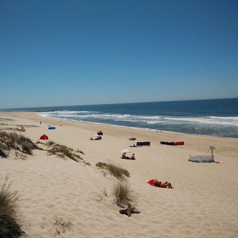 Camping Mira - Camping Centre du Portugal - Image N°3