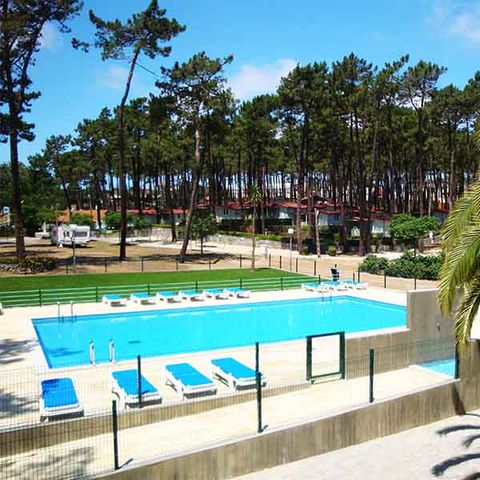 Camping Valado Camping Valado - Camping Centre du Portugal - Image N°2