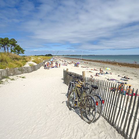 Camping Le Bois d'Amour Camping Le Bois d'Amour - Camping Finistère - Image N°2