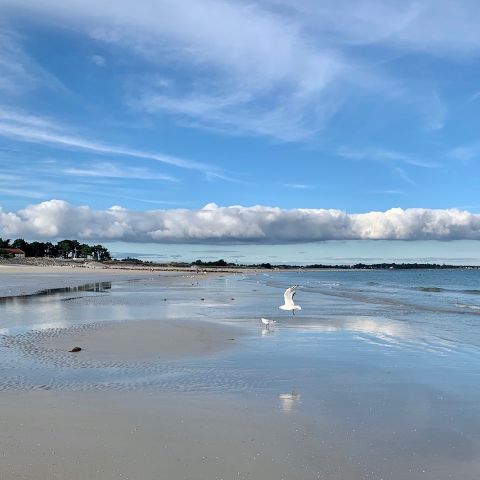 Camping Le Bois d'Amour Camping Le Bois d'Amour - Camping Finistère - Image N°4