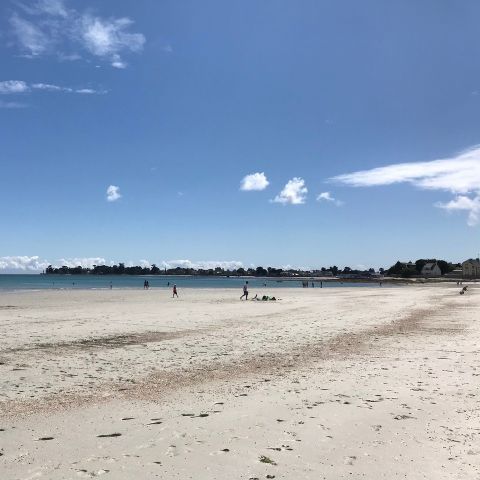 Camping Le Bois d'Amour Camping Le Bois d'Amour - Camping Finistère - Image N°5
