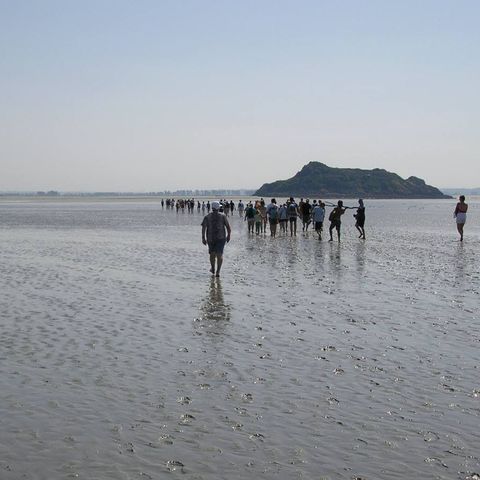 Camping Le Mont-Viron - Camping Manche - Image N°4