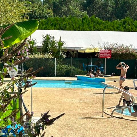 Camping Les Pins du Soleil - Camping Landes - Image N°5