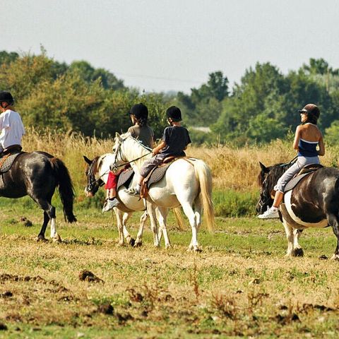 Camping Les Embruns d'Oléron - Camping Charente-Maritime