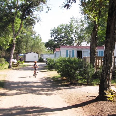 Camping Lou Payou - Camping Landes - Image N°4