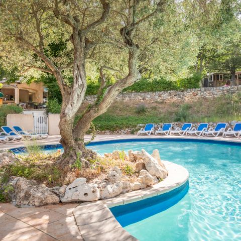 Camping le Domaine de Chanteraine   Camping le Domaine de Chanteraine   - Camping Var - Image N°2