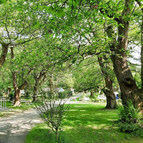 Camping Le Rural - Camping Hautes-Pyrénées - Image N°6