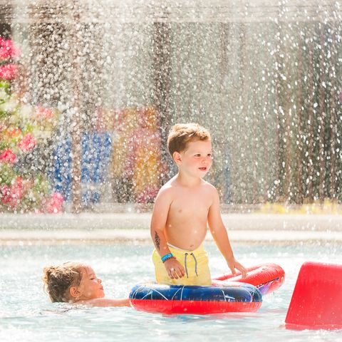 Camping Le Méditerranée Argelès - Camping Pyrénées-Orientales - Image N°2